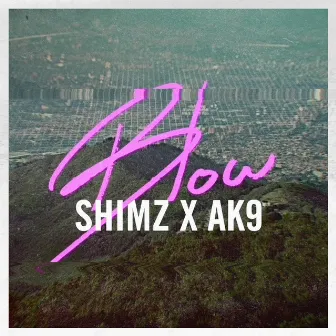 Blow by Shimz