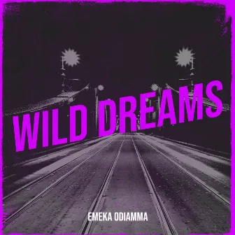 Wild Dreams by EMEKA ODIAMMA