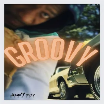 Groovy by Y.P.