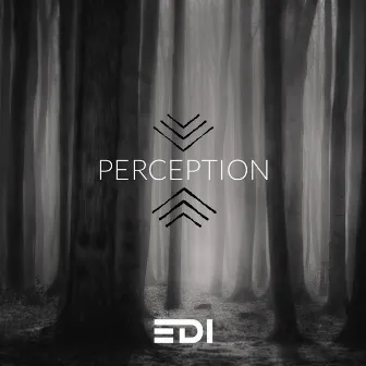 Perception by EDI