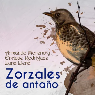 Zorzales de Antaño - Armando Moreno y Enrique Rodriguez - Luna Llena by Orquesta Enrique Rodriguez