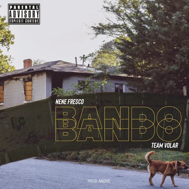 Bando