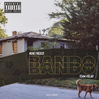 Bando by Nene Fresco