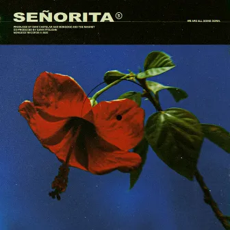 señorita by Mongooz And The Magnet