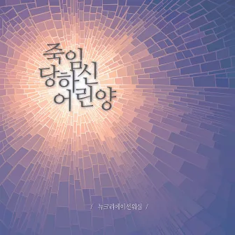 죽임 당하신 어린양 by New Creation Worship