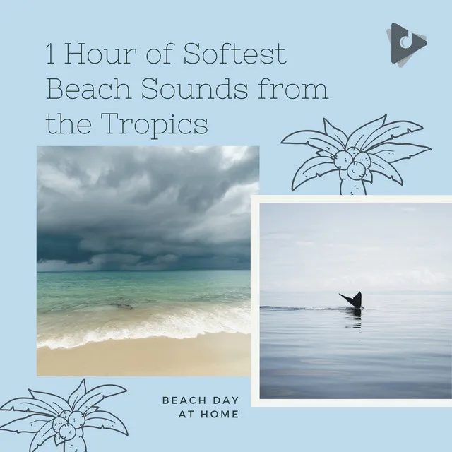 Meditation Ocean Sounds to Release Stress