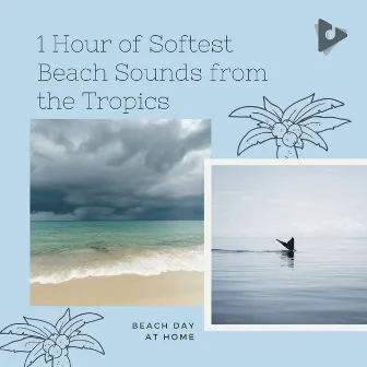 1 Hour of Softest Beach Sounds from the Tropics by Beach Day At Home