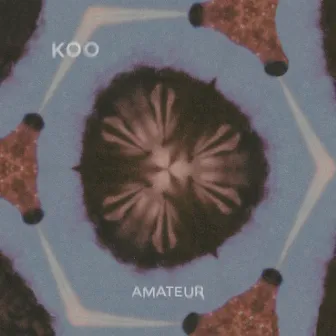 Amateur by KOO