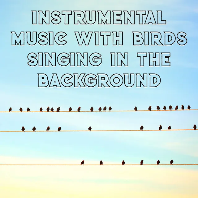 Bird Song Group