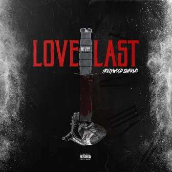 Love Never Last by Hollywood Swervo