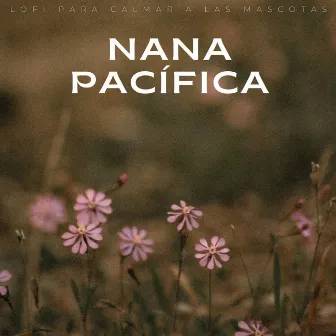 Nana Pacífica: Lofi Para Calmar A Las Mascotas by Música de mascotas relajante