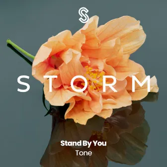 Stand By You by TONE