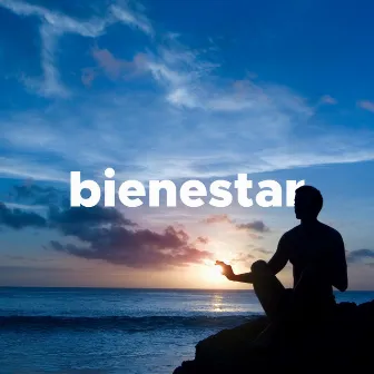 Bienestar - Música Relajante para Saunas Finlandesas, Masajes, Baños de Vapor, Dia de Spa by Unknown Artist