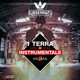 1Terra de instrumentale vol.2 by Subsemnatu