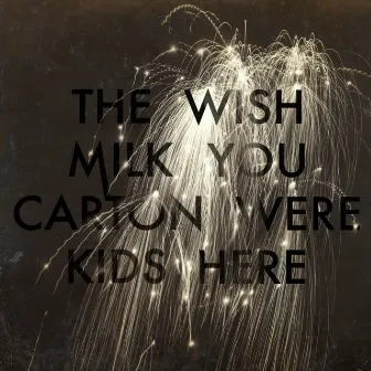 Wish You Were Here by The Milk Carton Kids