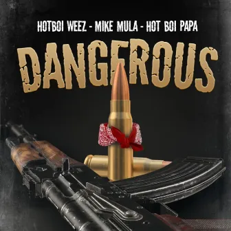 Dangerous by Hot Boi Weez