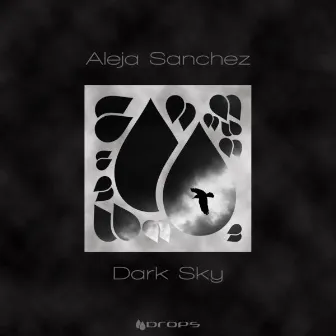 Dark Sky by Aleja Sanchez