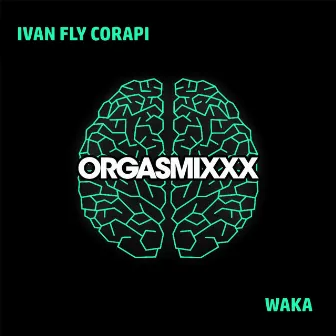 Waka by Ivan Fly Corapi