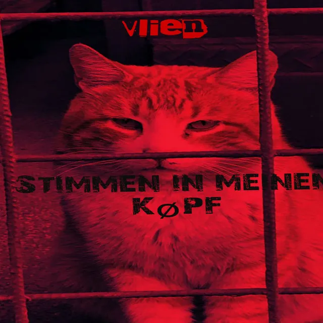 Stimmen in meinem køpf