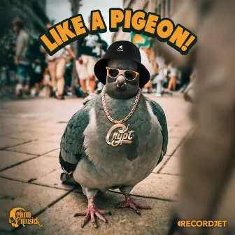 Like A Pigeon by DJ Crypt