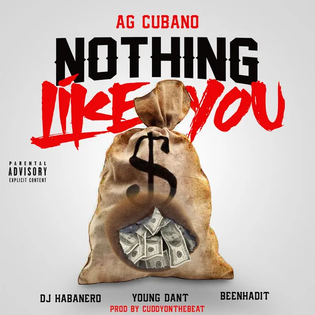 Nothing Like You (feat. Dj Habanero, Young Dant & Beenhadit)