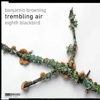 Trembling Air by eighth blackbird