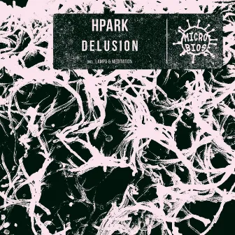 Delusion by HPark