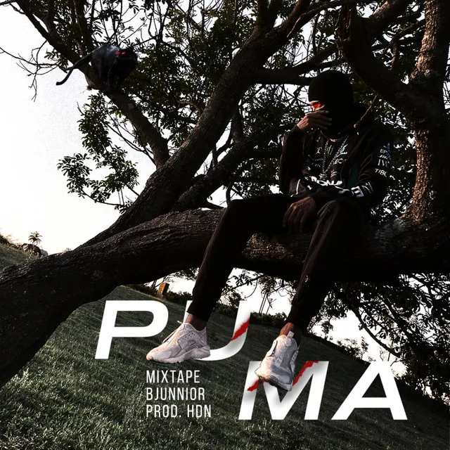 Puma Mixtape