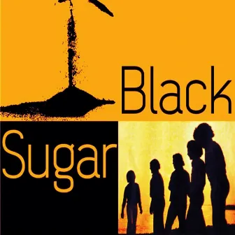 Black Sugar by Unknown Artist