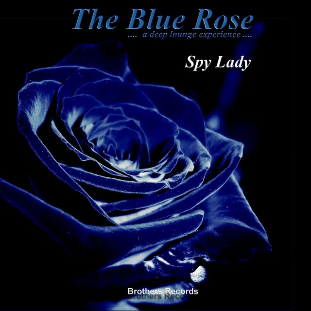 Spy Lady