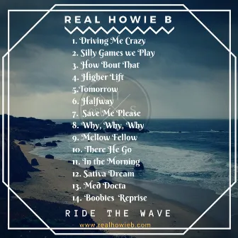 Ride The Wave by Real Howie B