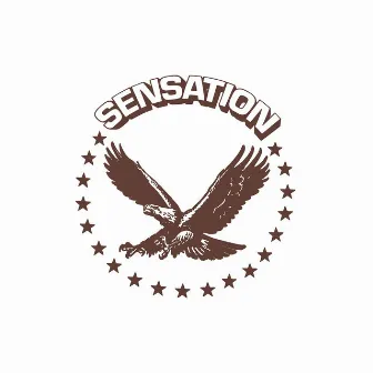 Sensation by Sensation