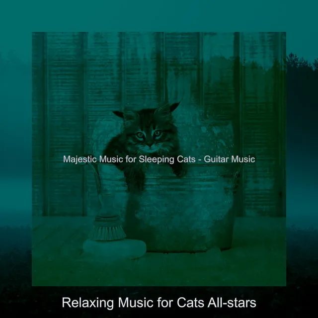 Majestic Music for Sleeping Cats - Guitar Music