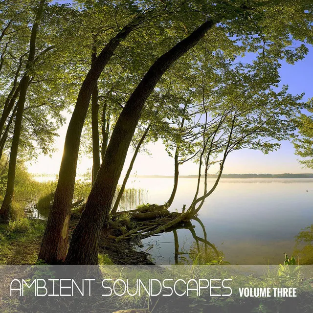 Ambient SoundScapes, Vol. 3