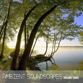 Ambient SoundScapes, Vol. 3 by Michael Horsphol