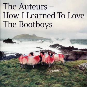 How I Learned To Love The Bootboys by The Auteurs