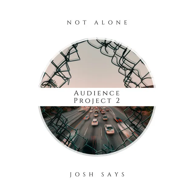 Audience Project 2: Not Alone