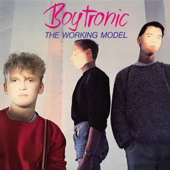 The Working Model (Deluxe Edition) by Boytronic