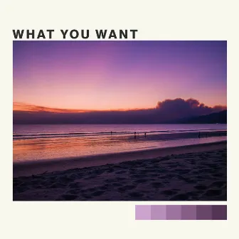 What You Want by Boy At The Beach