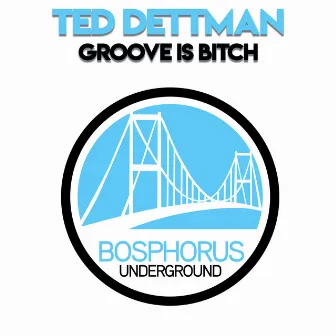 Groove is Bitch by Ted Dettman