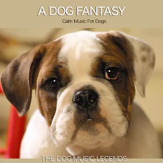 A Dog Fantasy by The Dog Music Guys