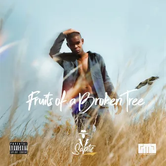 Fruits of a Broken Tree by Saptic