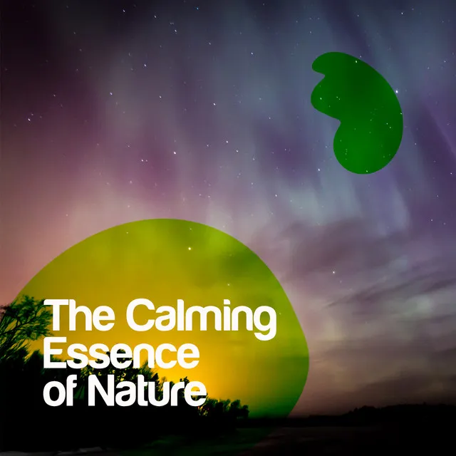 The Calming Essence of Nature