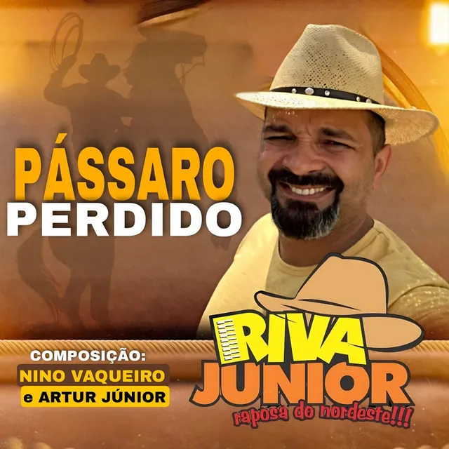 Pássaro Perdido