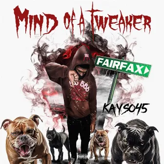 Mind Of A Tweaker by Kayso45