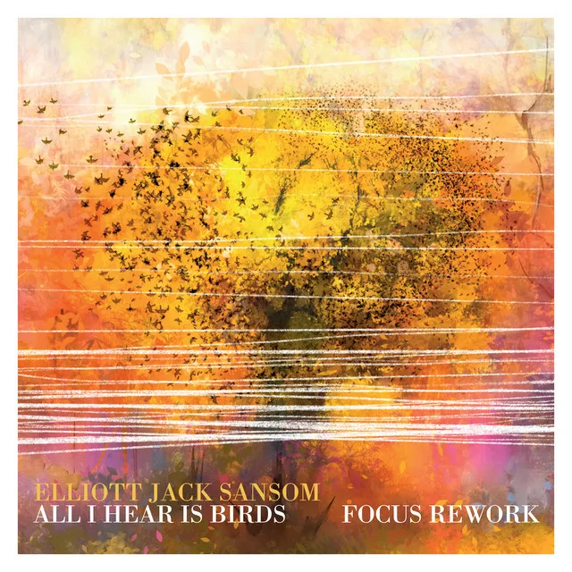 All I Hear Is Birds (Focus Rework)