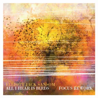 All I Hear Is Birds (Focus Rework) by Elliott Jack Sansom