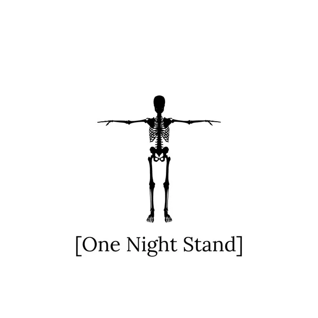 One Night Stand (Remix)