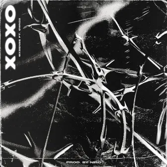 XOXO by niro