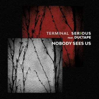 Nobody Sees Us by Terminal Serious